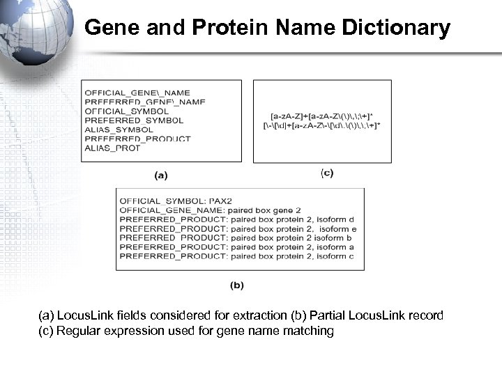 Gene and Protein Name Dictionary (a) Locus. Link fields considered for extraction (b) Partial