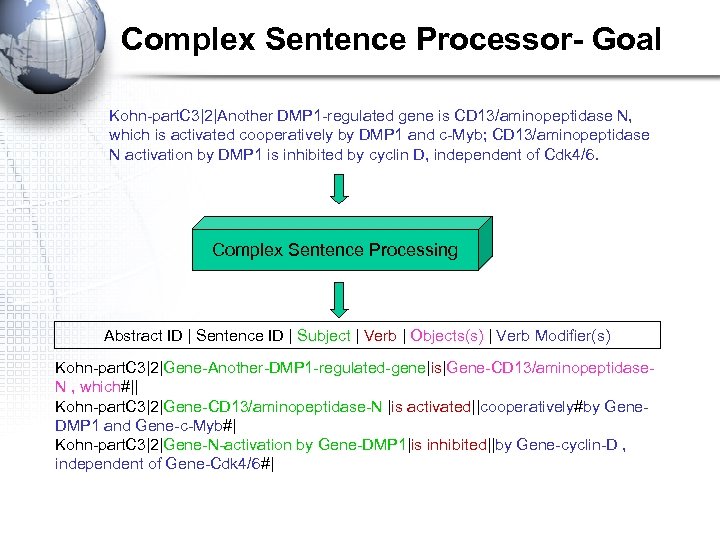 Complex Sentence Processor- Goal Kohn-part. C 3|2|Another DMP 1 -regulated gene is CD 13/aminopeptidase