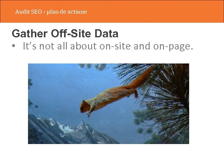 Audit SEO - plan de actiune Gather Off-Site Data • It’s not all about