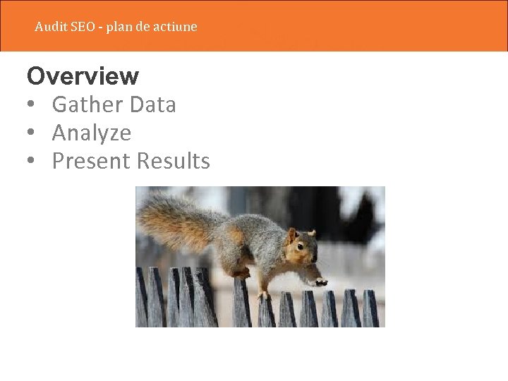 Audit SEO - plan de actiune Overview • Gather Data • Analyze • Present