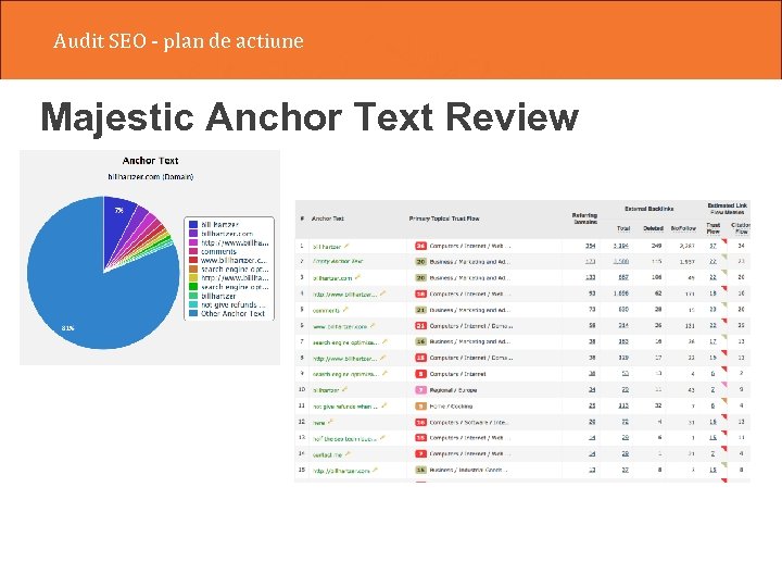 Audit SEO - plan de actiune Majestic Anchor Text Review 