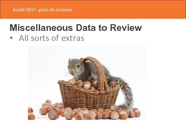 Audit SEO - plan de actiune Miscellaneous Data to Review • All sorts of