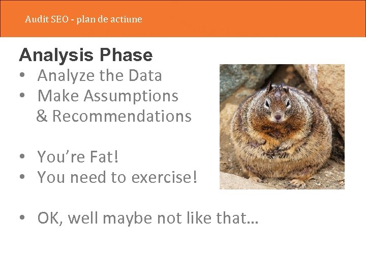 Audit SEO - plan de actiune Analysis Phase • Analyze the Data • Make
