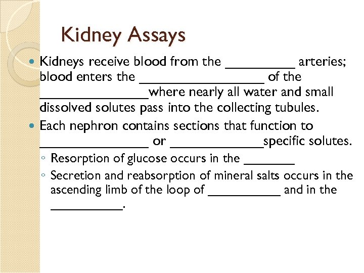 Kidney Assays Kidneys receive blood from the _____ arteries; blood enters the ________ of