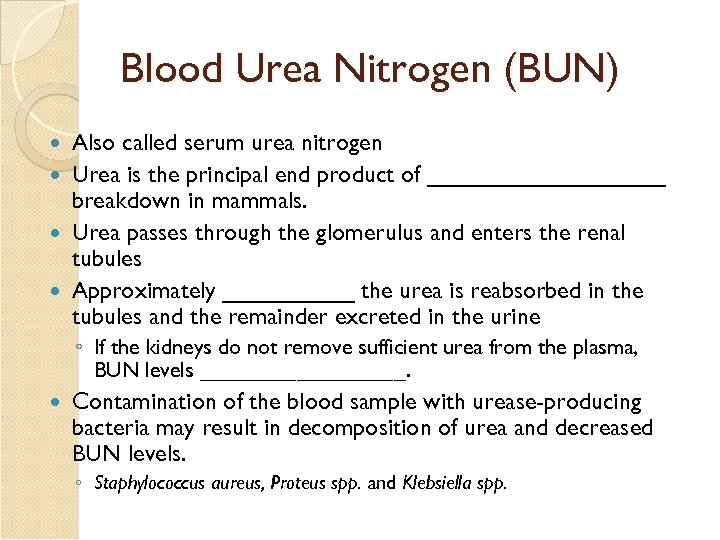 Blood Urea Nitrogen (BUN) Also called serum urea nitrogen Urea is the principal end