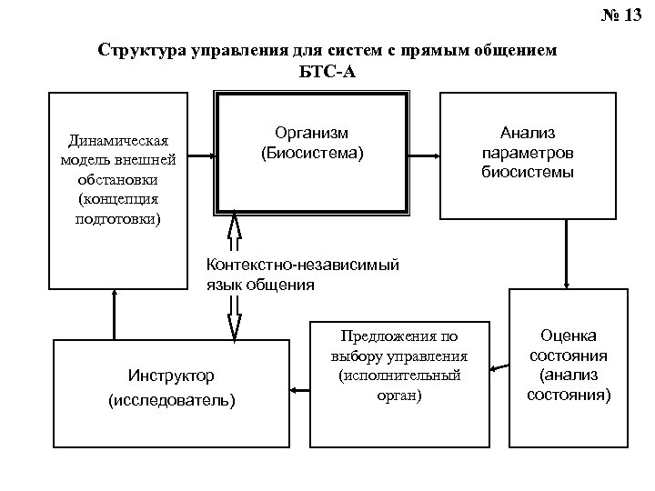 № 13 Структура управления для систем с прямым общением БТС-А Организм (Биосистема) Динамическая модель