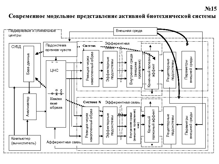 База данных Компьютер (вычислитель) Накопл ение образа Афферентная связь Конечный полезный эффект Рецепторные подсистемы