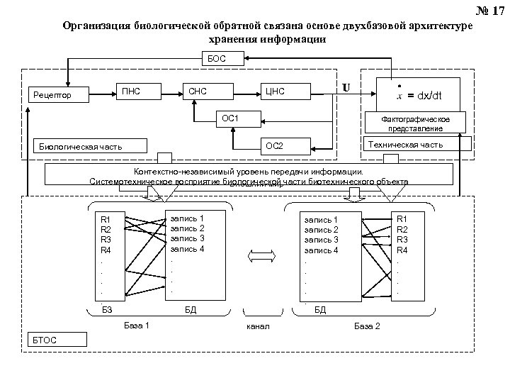 № 17 Организация биологической обратной связана основе двухбазовой архитектуре хранения информации БОС ПНС Рецептор