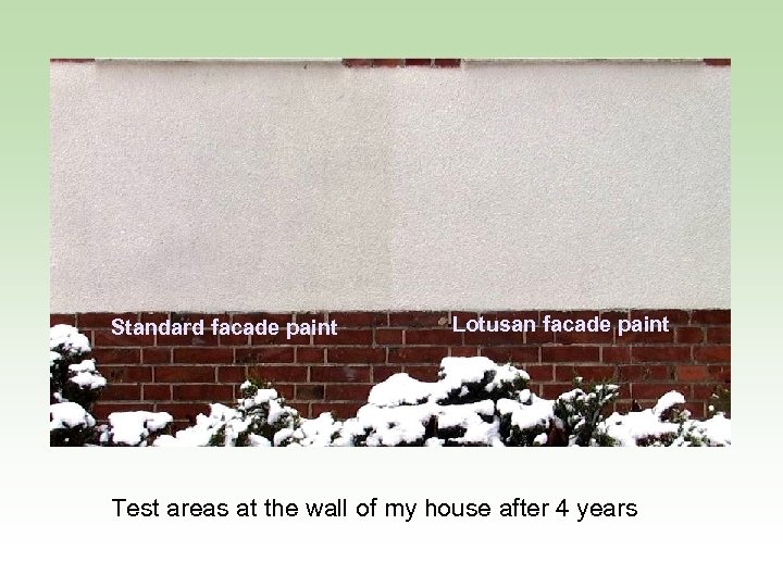 Standard facade paint Lotusan facade paint Test areas at the wall of my house