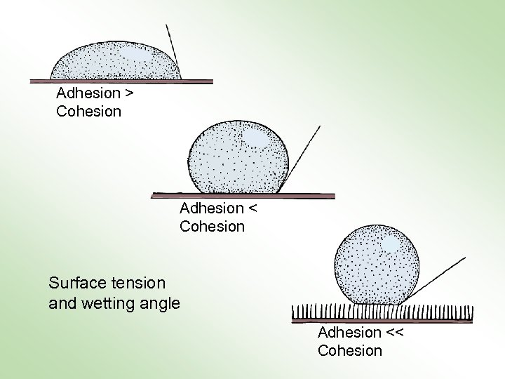 Adhesion > Cohesion Adhesion < Cohesion Surface tension and wetting angle Adhesion << Cohesion