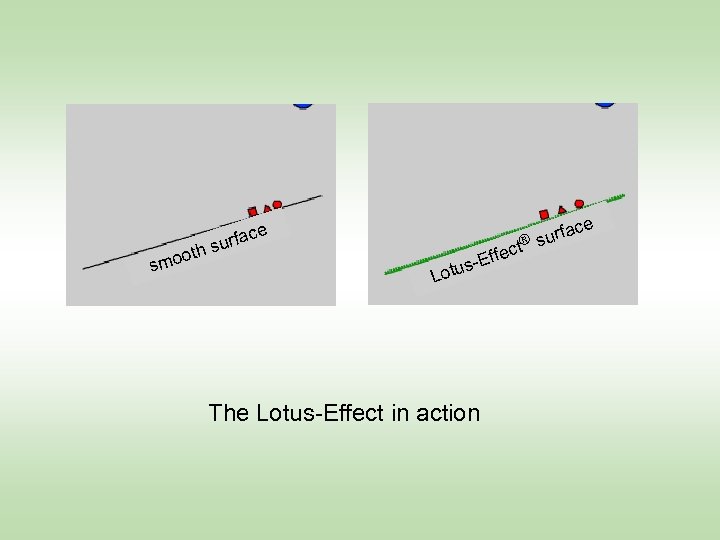 th moo s s ce fa ® sur ct Effe s- ce urfa Lotu
