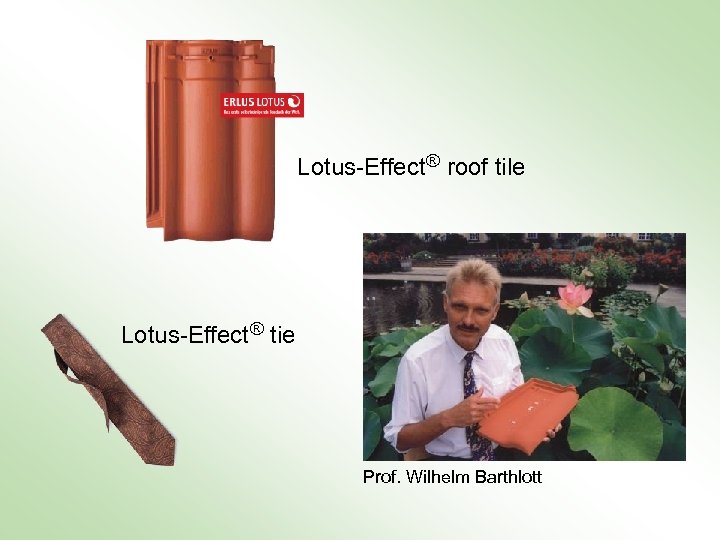 Lotus-Effect ® roof tile Lotus-Effect ® tie Prof. Wilhelm Barthlott 