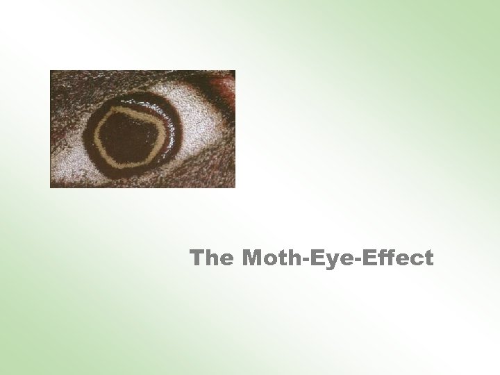The Moth-Eye-Effect 