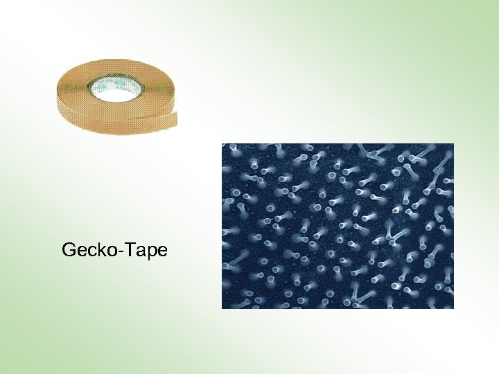 Gecko-Tape 