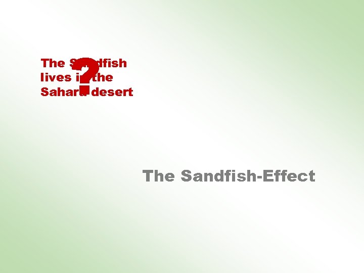 ? The Sandfish lives in the Sahara desert The Sandfish-Effect 