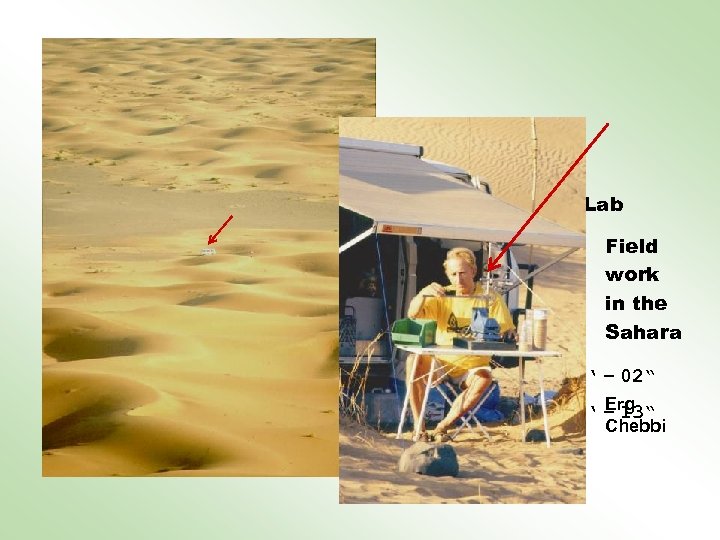 My Sahara Lab GPS: Field work in the Sahara N 31° - 15‘ –