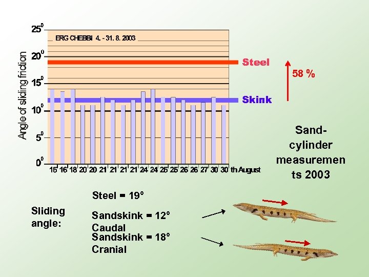 58 % Sandcylinder measuremen ts 2003 Steel = 19° Sliding angle: Sandskink = 12°