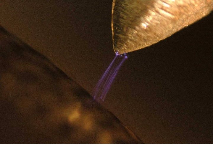 Night photo Exposure time 20 s Discharge spark on the back of the sandskink