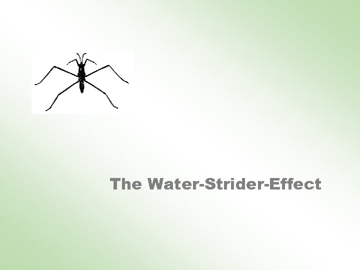 The Water-Strider-Effect 