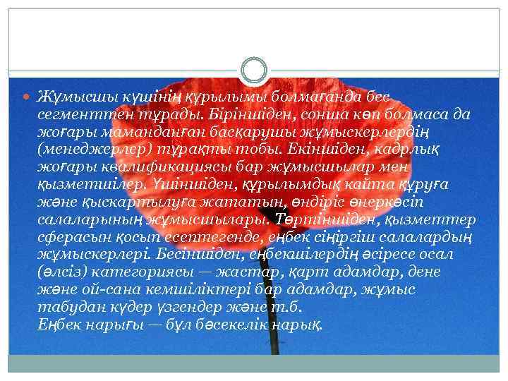  Жұмысшы күшінің құрылымы болмағанда бес сегменттен тұрады. Біріншіден, сонша көп болмаса да жоғары