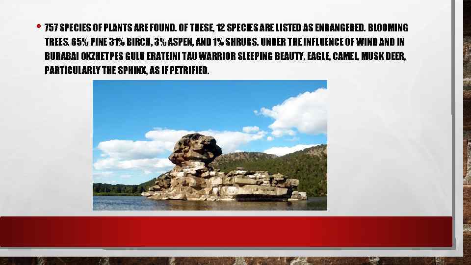  • 757 SPECIES OF PLANTS ARE FOUND. OF THESE, 12 SPECIES ARE LISTED