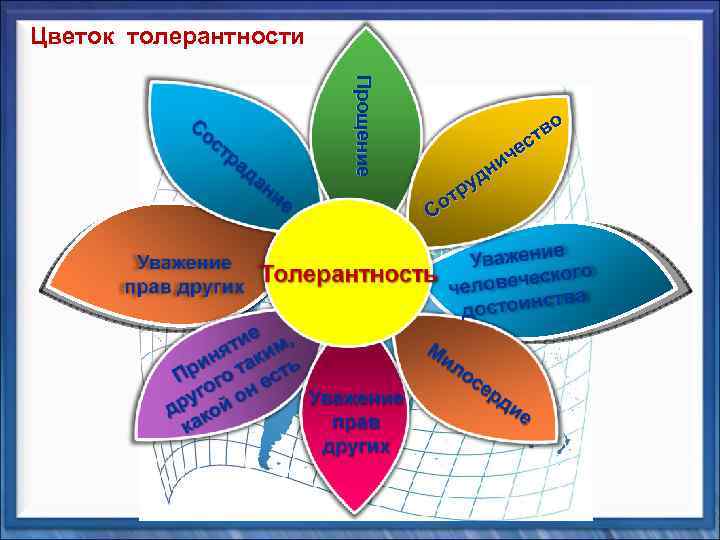 Цветок толерантности Прощение о тв с че и дн у тр Со 