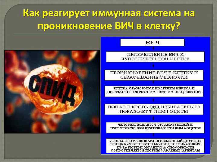 Как реагирует иммунная система на проникновение ВИЧ в клетку? 