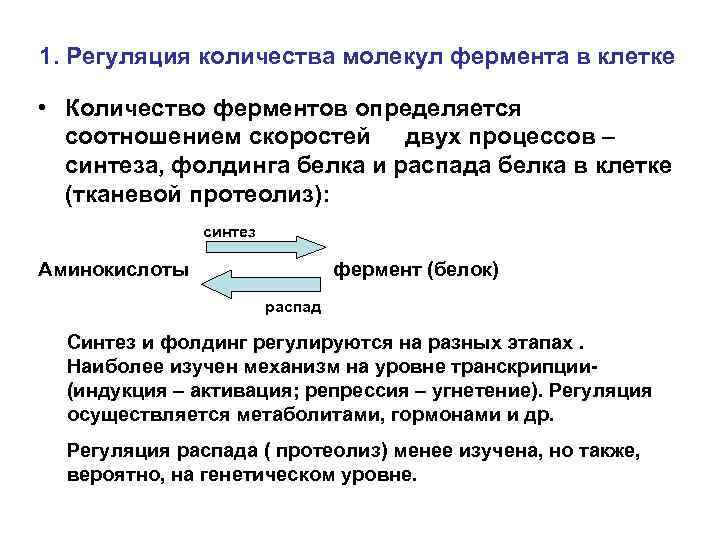 1. Регуляция количества молекул фермента в клетке • Количество ферментов определяется соотношением скоростей двух