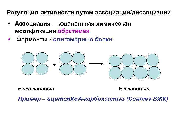 Регуляция активности путем ассоциации/диссоциации • Ассоциация – ковалентная химическая модификация обратимая • Ферменты -