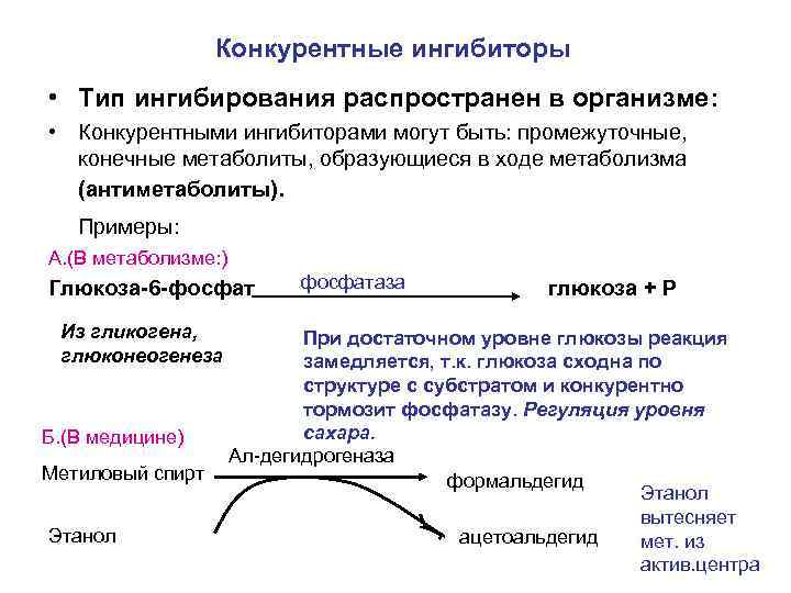 Конкурентные ингибиторы • Тип ингибирования распространен в организме: • Конкурентными ингибиторами могут быть: промежуточные,
