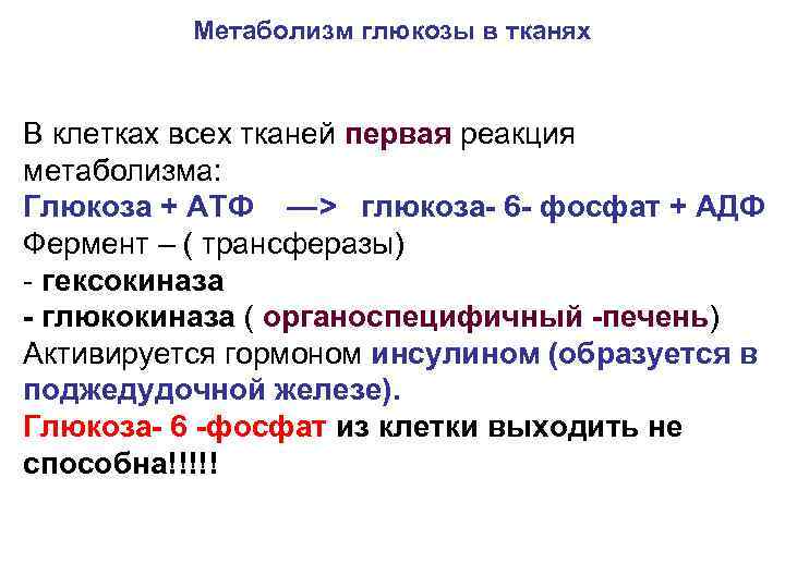 Метаболизм глюкозы в тканях В клетках всех тканей первая реакция метаболизма: Глюкоза + АТФ