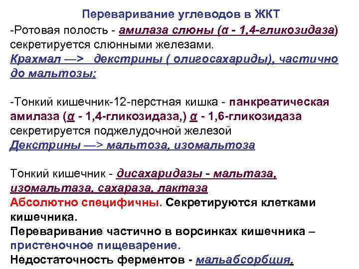 Переваривание углеводов в ЖКТ -Ротовая полость - амилаза слюны (α - 1, 4 -гликозидаза)