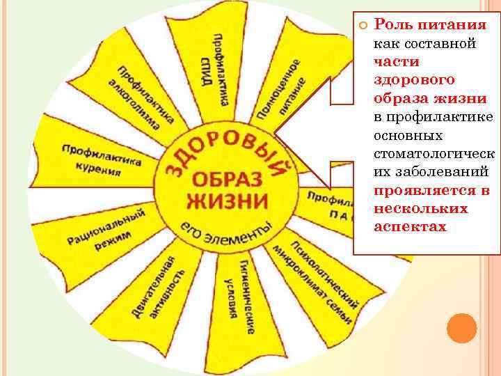  Роль питания как составной части здорового образа жизни в профилактике основных стоматологическ их