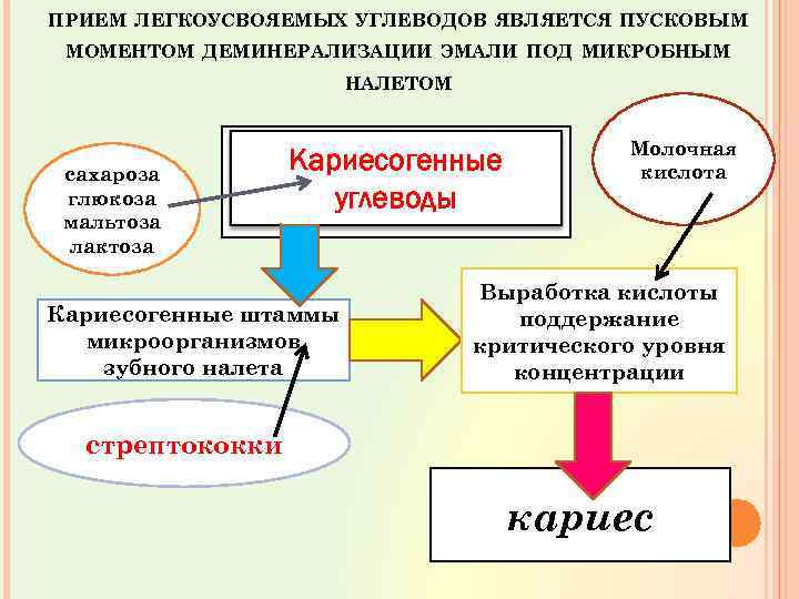 ПРИЕМ ЛЕГКОУСВОЯЕМЫХ УГЛЕВОДОВ ЯВЛЯЕТСЯ ПУСКОВЫМ МОМЕНТОМ ДЕМИНЕРАЛИЗАЦИИ ЭМАЛИ ПОД МИКРОБНЫМ НАЛЕТОМ сахароза глюкоза мальтоза