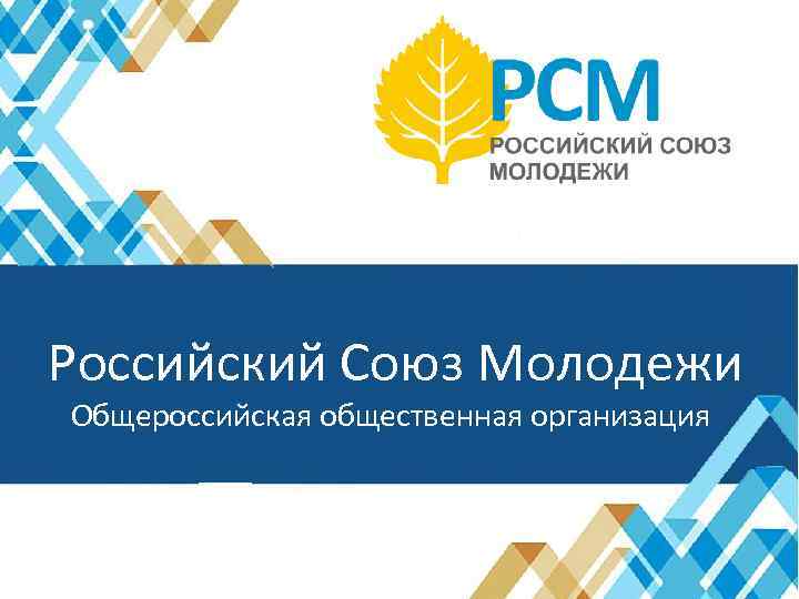 Программы и проекты рсм