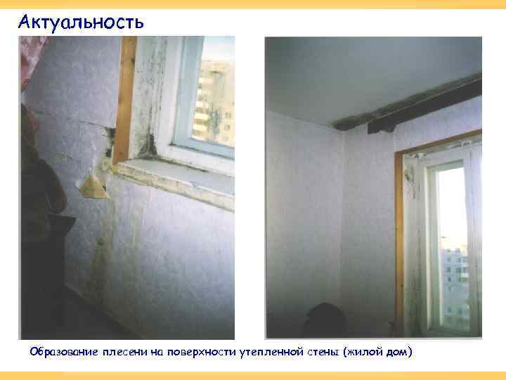 Актуальность Образование плесени на поверхности утепленной стены (жилой дом) 