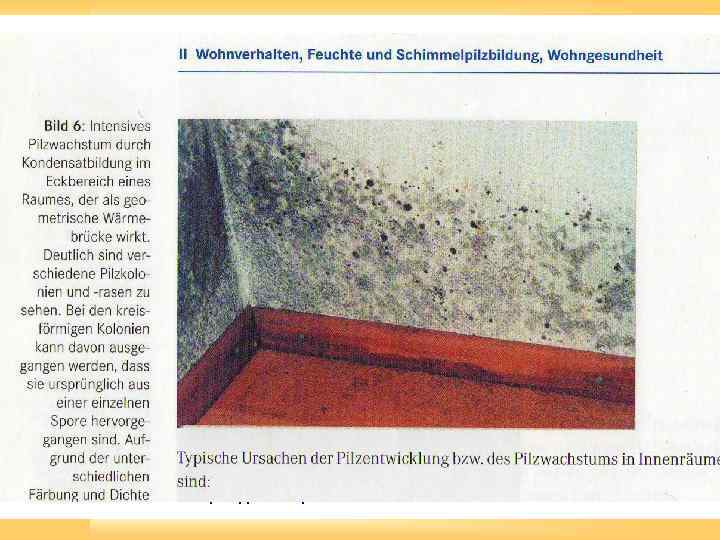 Оценка температурного режима на основе тепловизионной съемки 