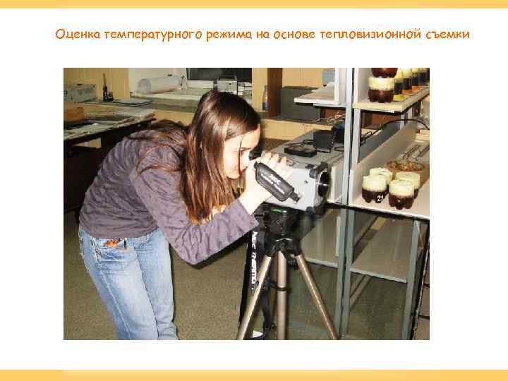 Оценка температурного режима на основе тепловизионной съемки 