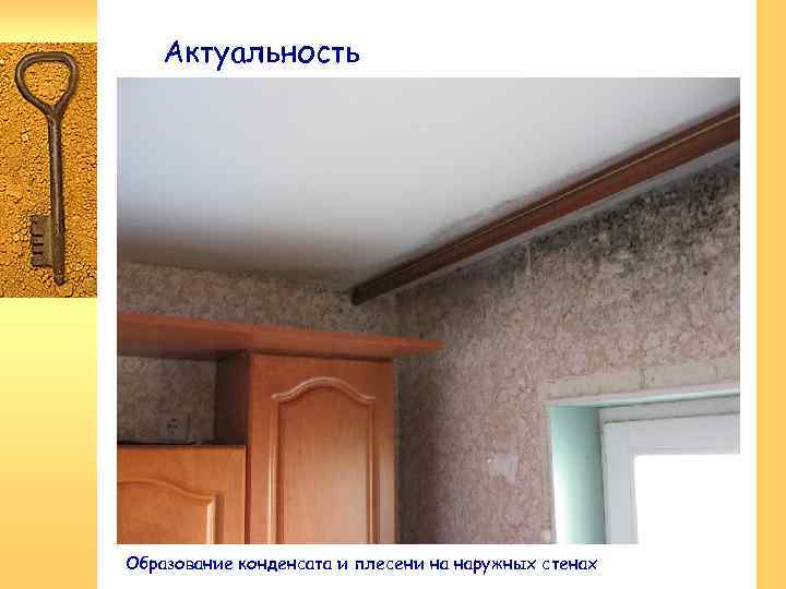Актуальность Образование конденсата и плесени на наружных стенах 
