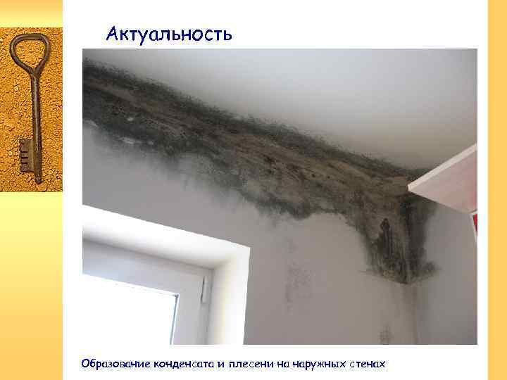 Актуальность Образование конденсата и плесени на наружных стенах 