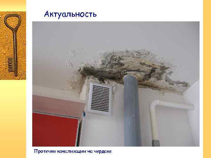 Актуальность Протечки канализации на чердаке 