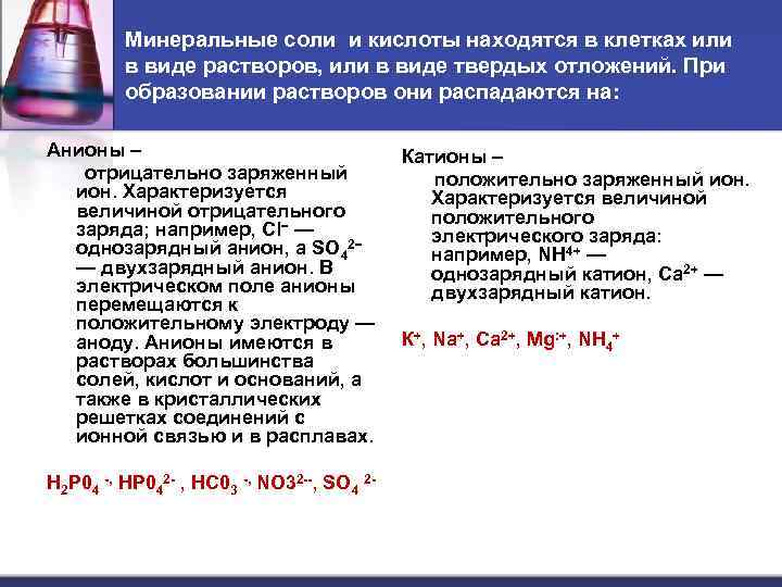 Минеральные соли и кислоты находятся в клетках или в виде растворов, или в виде