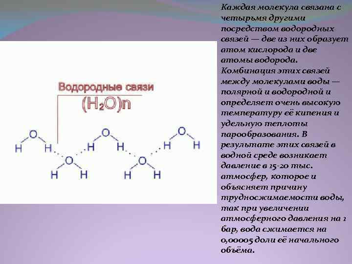 Каждая молекула связана с четырьмя другими посредством водородных связей — две из них образует