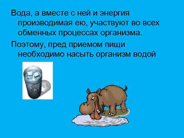 Вода, а вместе с ней и энергия производимая ею, участвуют во всех обменных процессах