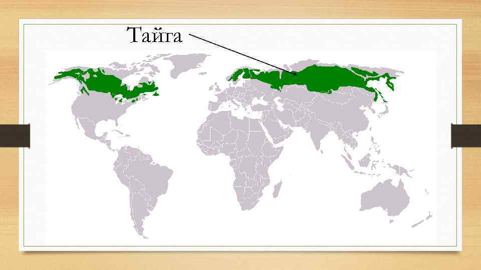 Тайга 