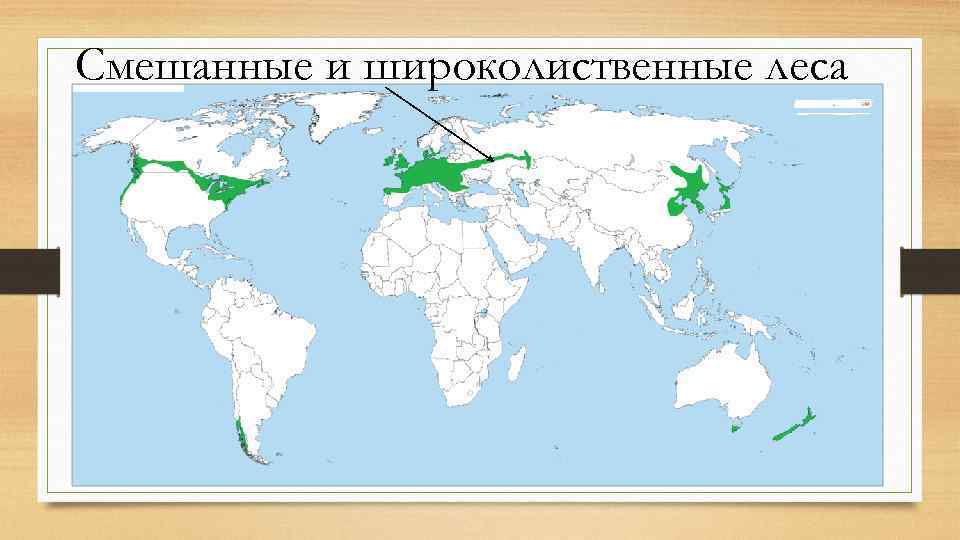 Смешанные и широколиственные леса 