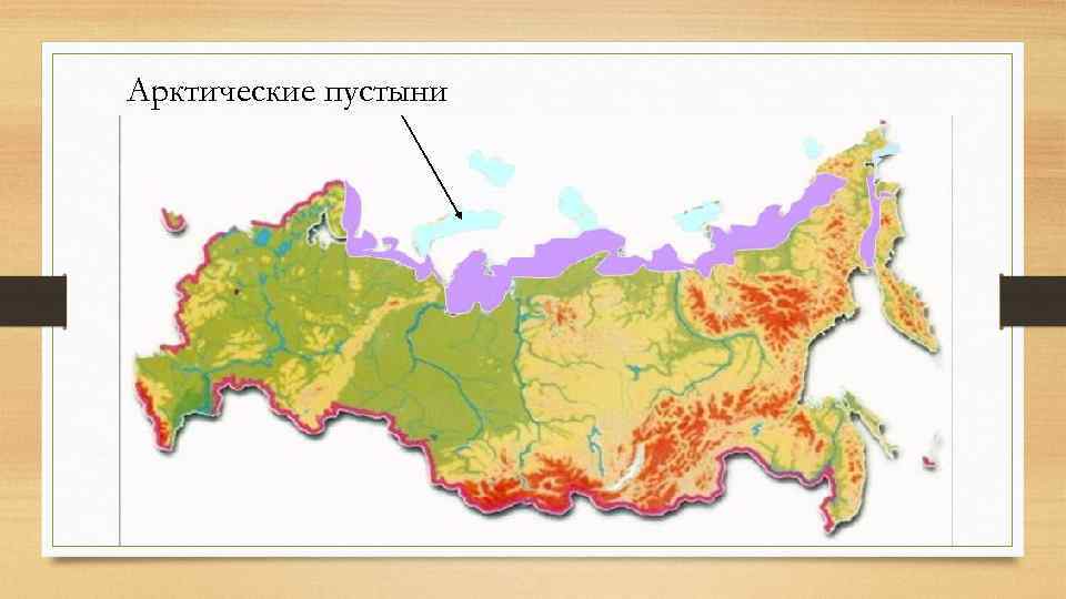 Арктические пустыни 