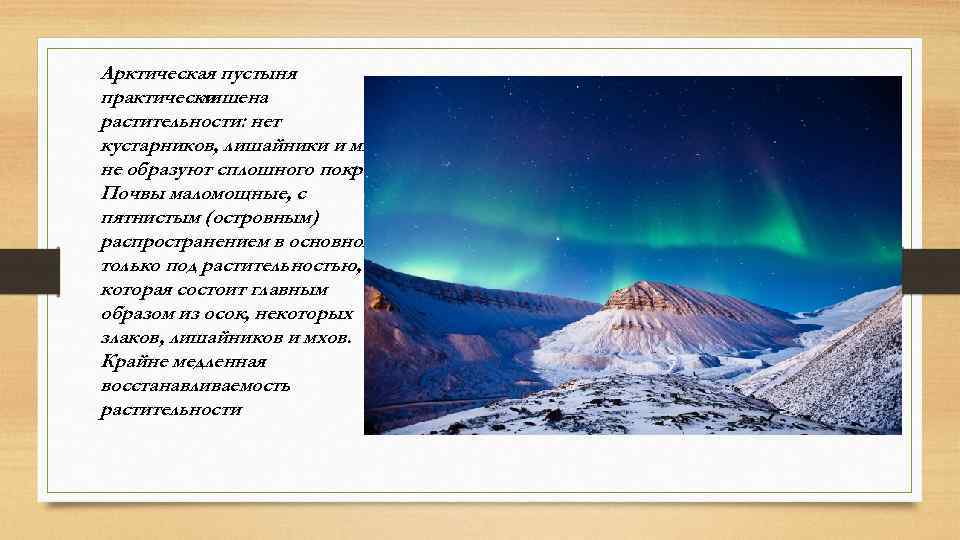 Арктическая пустыня практически лишена растительности: нет кустарников, лишайники и мхи не образуют сплошного покрова.