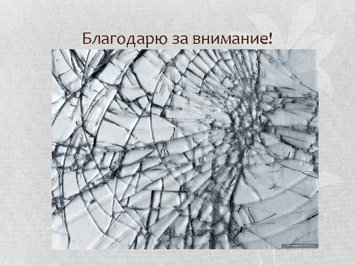 Благодарю за внимание! 