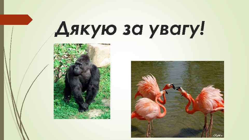 Дякую за увагу! 